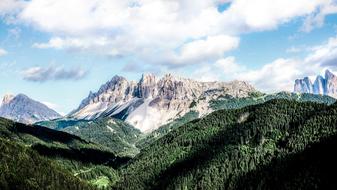 gorgeous Mountain Landscape, forested slopes and grey peaks