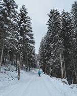 man in a beautiful winter forest