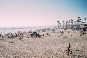 People vacationing near the ocean