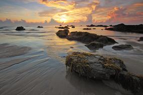 mossy rocks on beach at scenic sunset