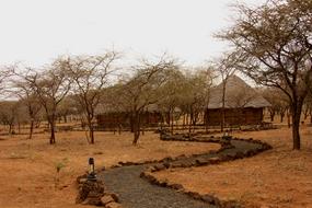 Safari Camp Tent