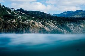 Foggy morning on the beach