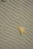 Lake Ripple Sand