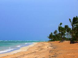 Beach Sun Holiday