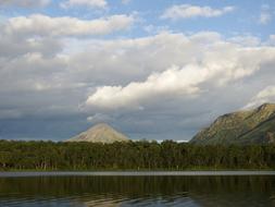 Green plants near the lake with the mountain as a backdrop