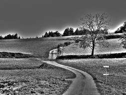 Landscape Nature Background
