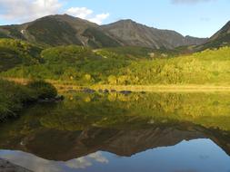 Forest and Mountains near Lake, scenic landscape