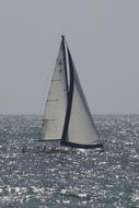 Sloop Sailboat Boat