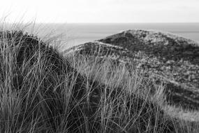 Sylt North Sea Island