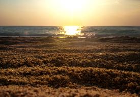 sand sea Beach at Sunset, low angle view