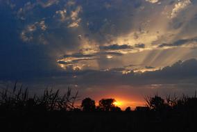 The sun rays illuminate the clouds