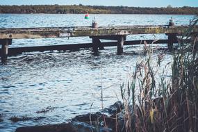 lake reeds bridge view