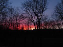colorful Sunset behind bare Trees