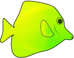 Drawing of a funny green fish