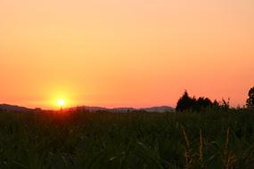 Fields Sunset Sky