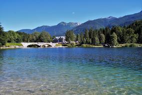lake trees beach view