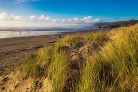 Beach Coast Sand