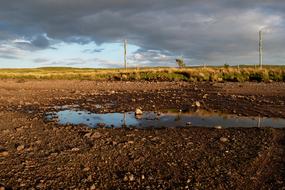 a big wet field with grass