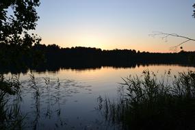 Nature Lake Forest