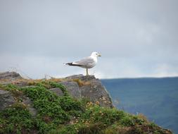 Easdale Scotland Vacations