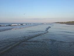 Beach of Atlantic ocean, usa, South Carolina, Kiawah