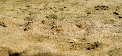 sandy beach is wet