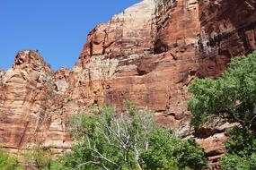 red Sandstone cliffs, usa, Utah, Zion National Park