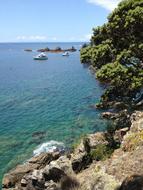 boats in bay near coast, New Zealand