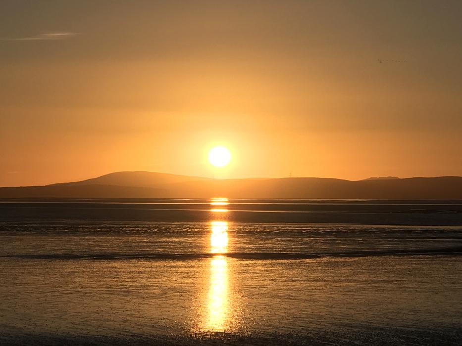 Sunset Yellow Nature