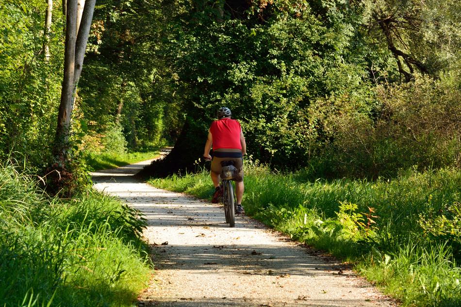 Cycling Cyclists Forest