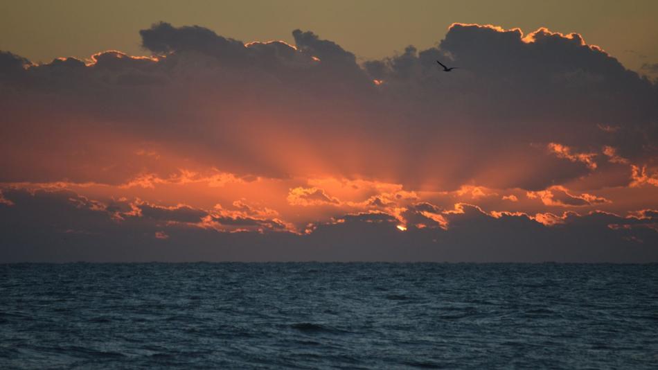 Sun Water Ocean