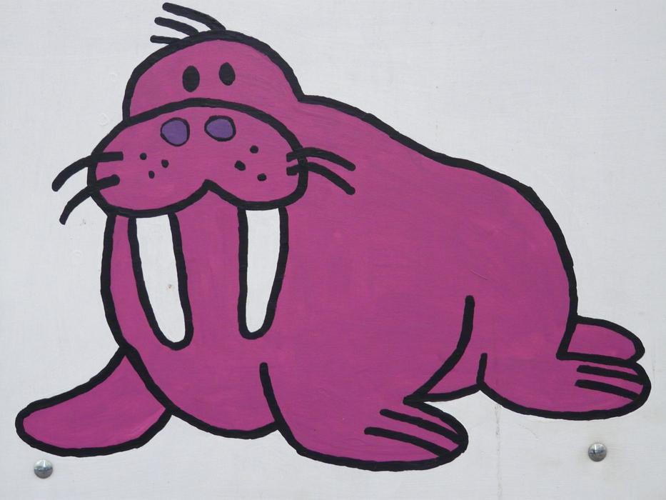 funny pink walrus