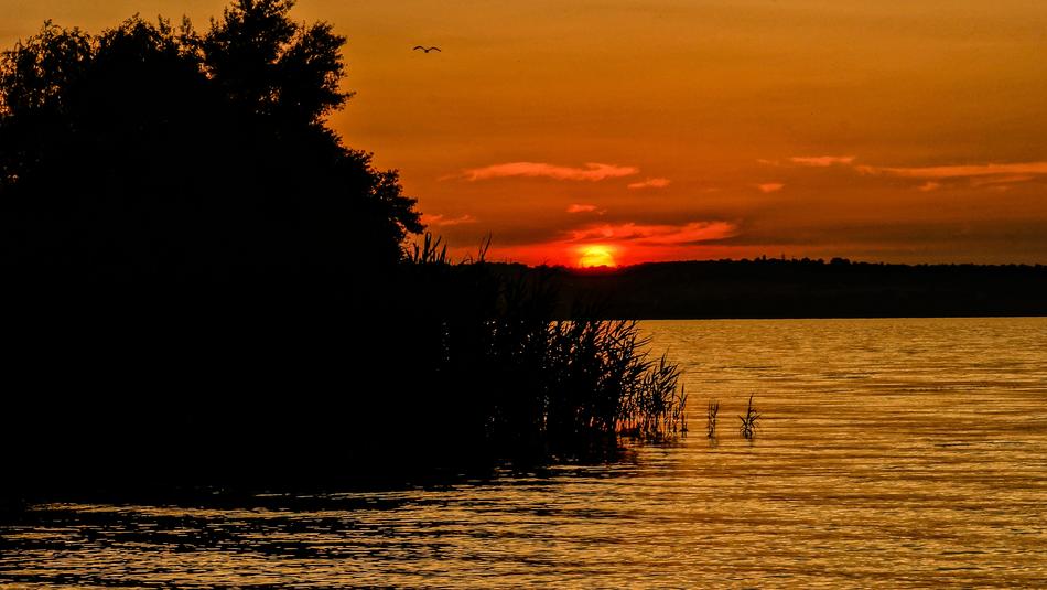 magnificent sunset by the trees
