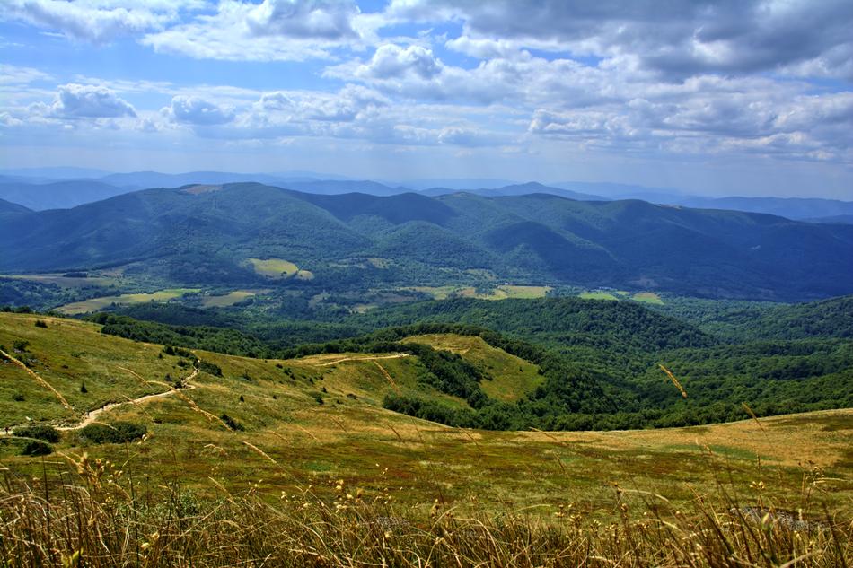 Bieszczady Tarnica Beech Berdo