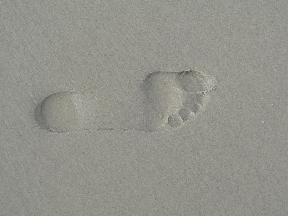 Footprint Barefoot Foot