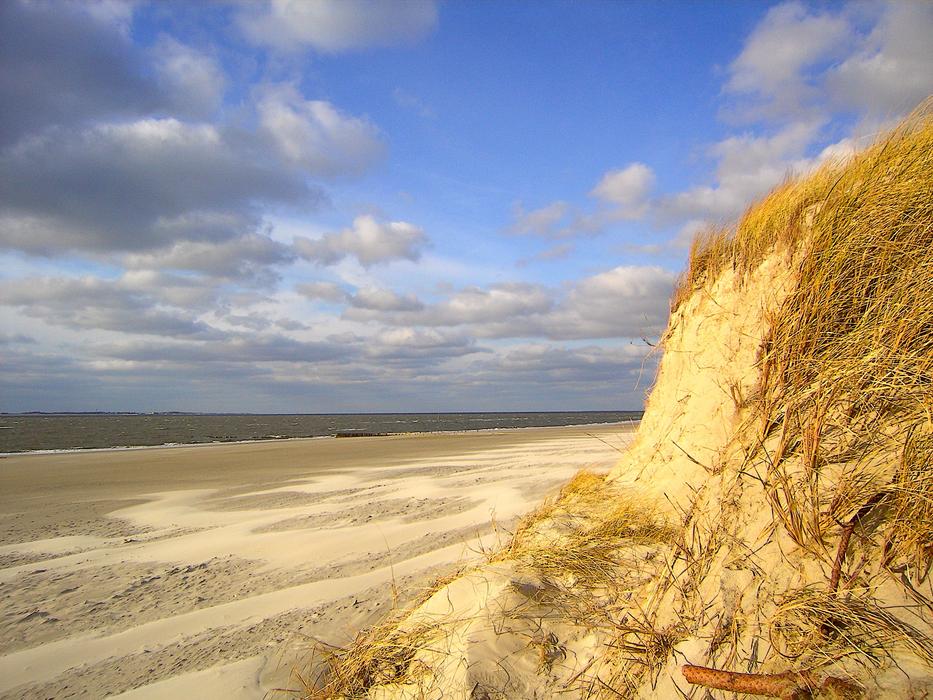 sandy beach is beautiful