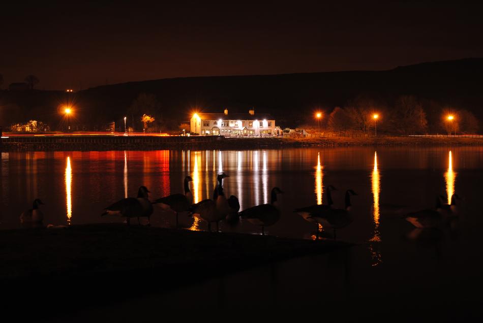Night Lights Reflection