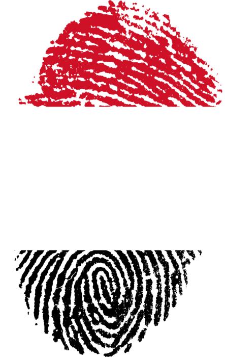 yemen flag fingerprint country