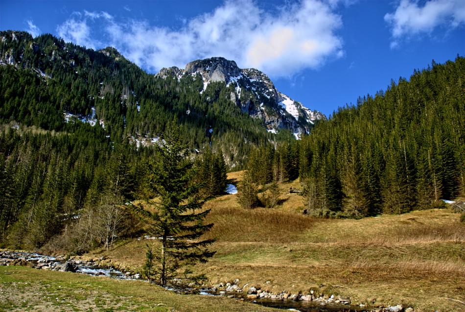 Tatry Koscieliska Valley Winter