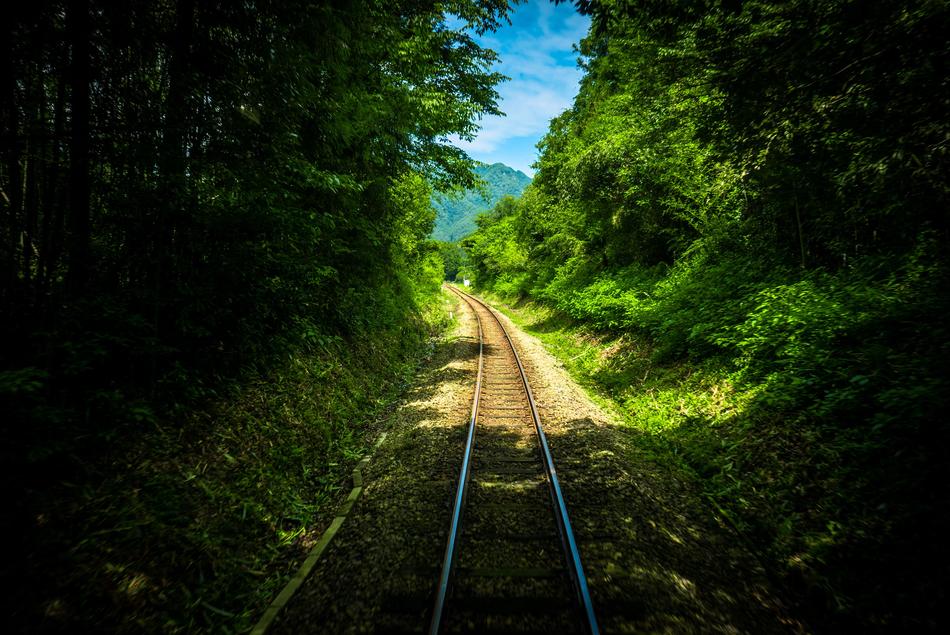 Railway Track Green free image download