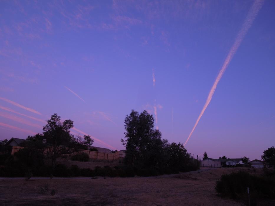 Neighborhood Park Path Sky