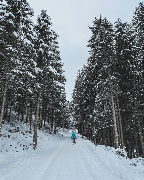 man in a beautiful winter forest