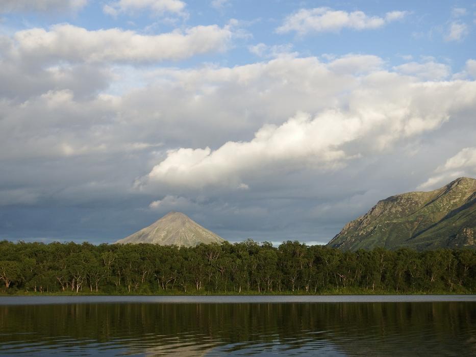 Green plants near the lake with the mountain as a backdrop
