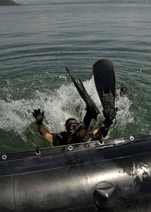 Diver Diving Sea