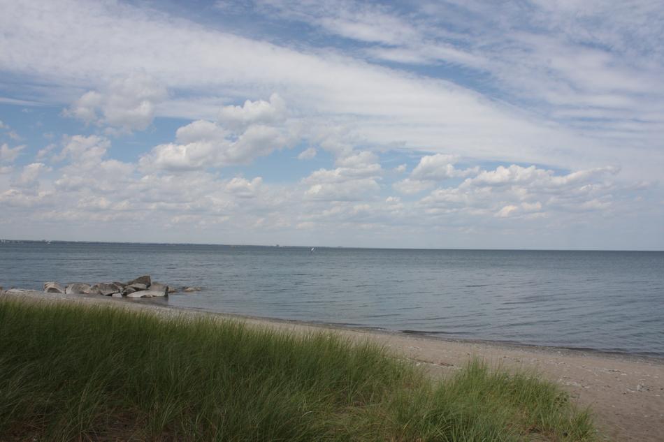 Beach Sky Grass