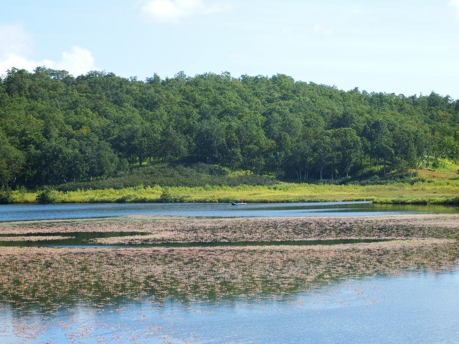 A lake near a field and mountains