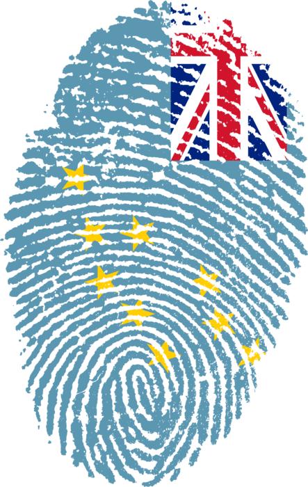 Patriotic flag and fingerprint signs