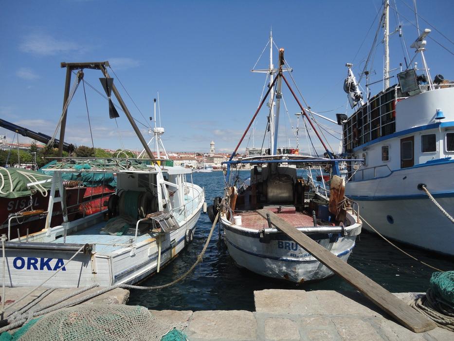 Fishing boats at sea