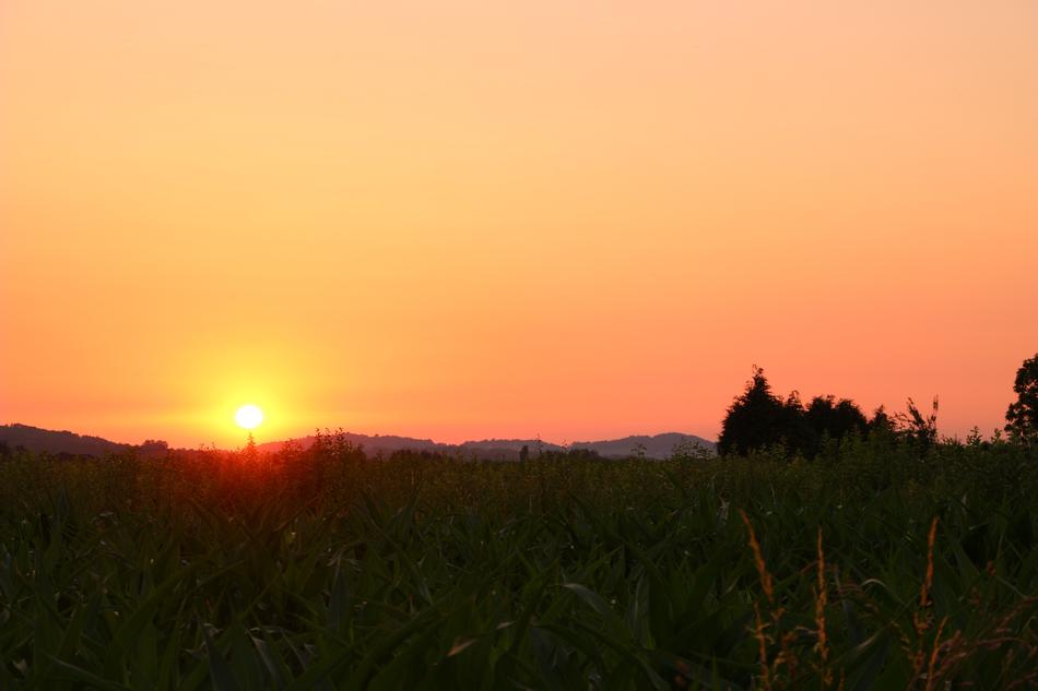 Fields Sunset Sky