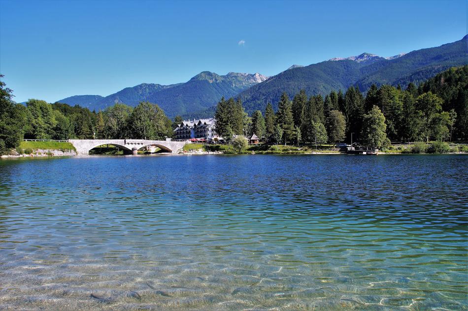 lake trees beach view